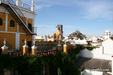View from roof terrace